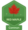 Red Maple badge