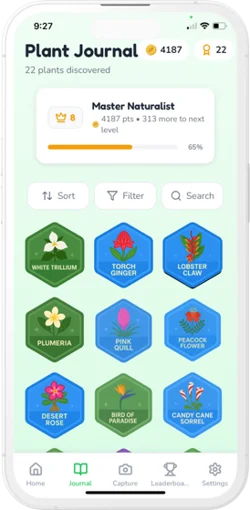Plant journal