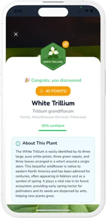 Identification result