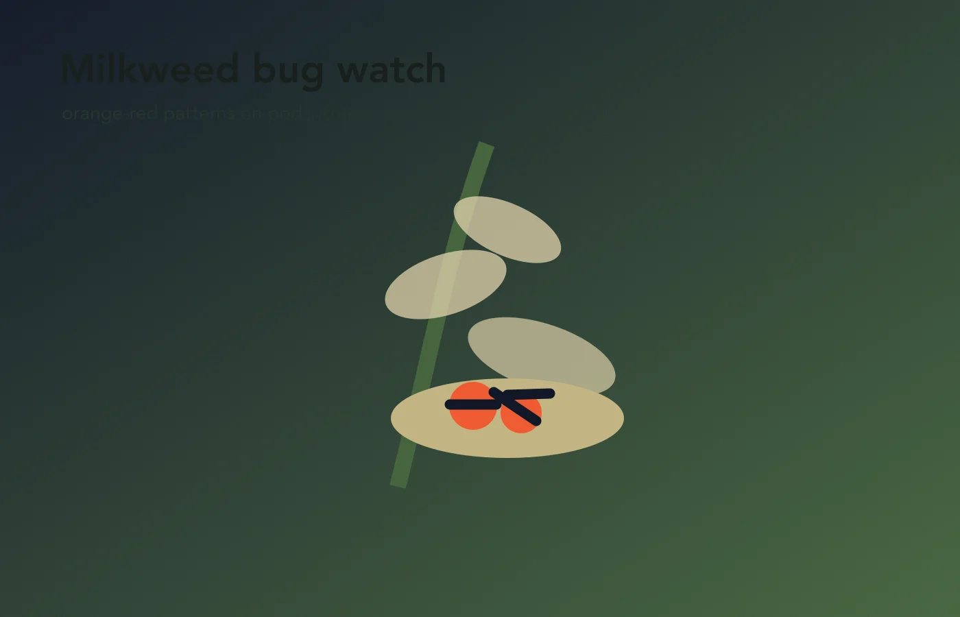 Illustrated milkweed stem with orange red and black insects grouped near pods and leaves.