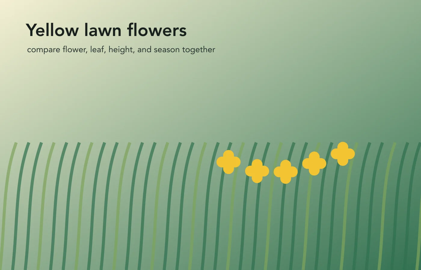 Illustrated lawn with several small yellow wildflowers rising above green grass.