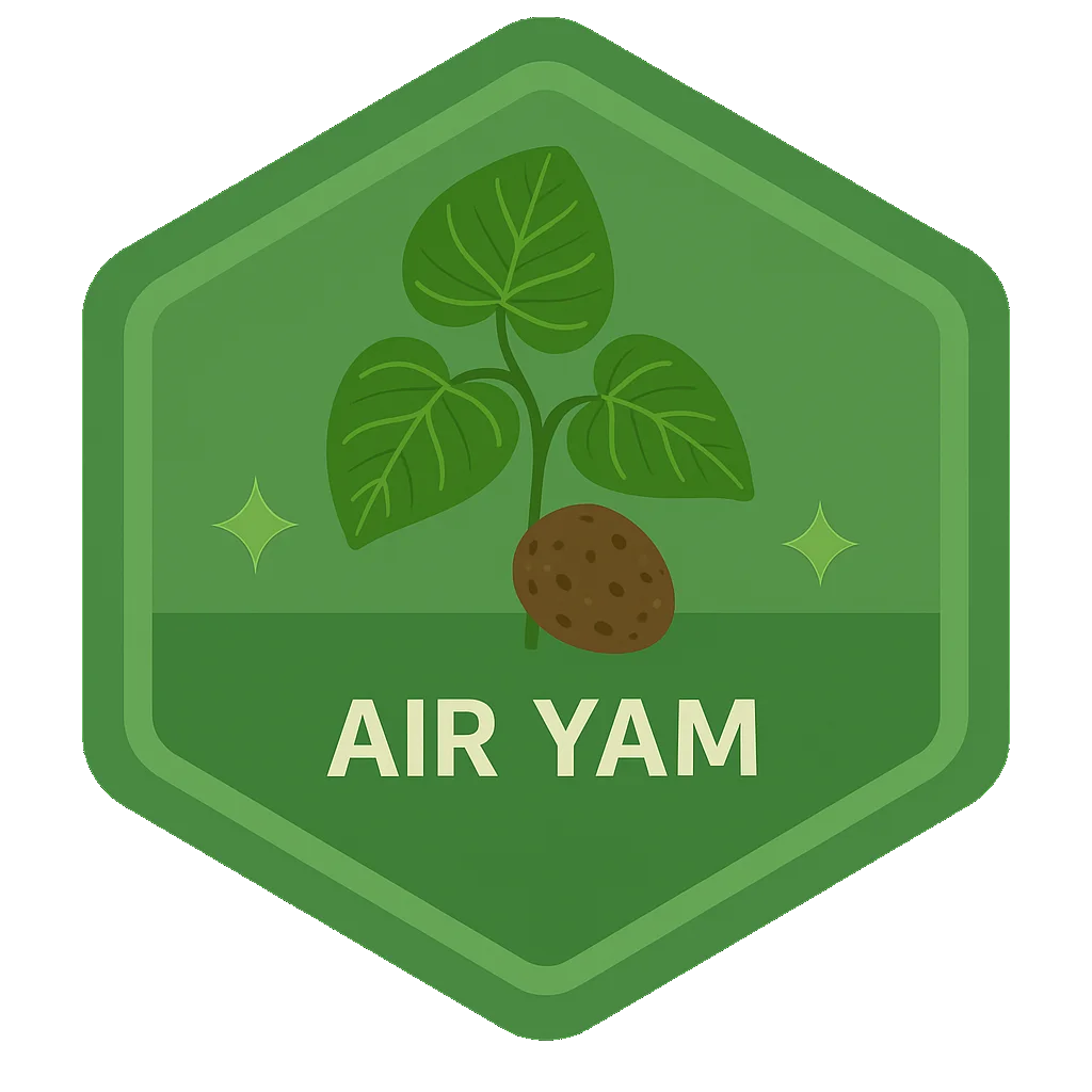 Air Yam community badge artwork.