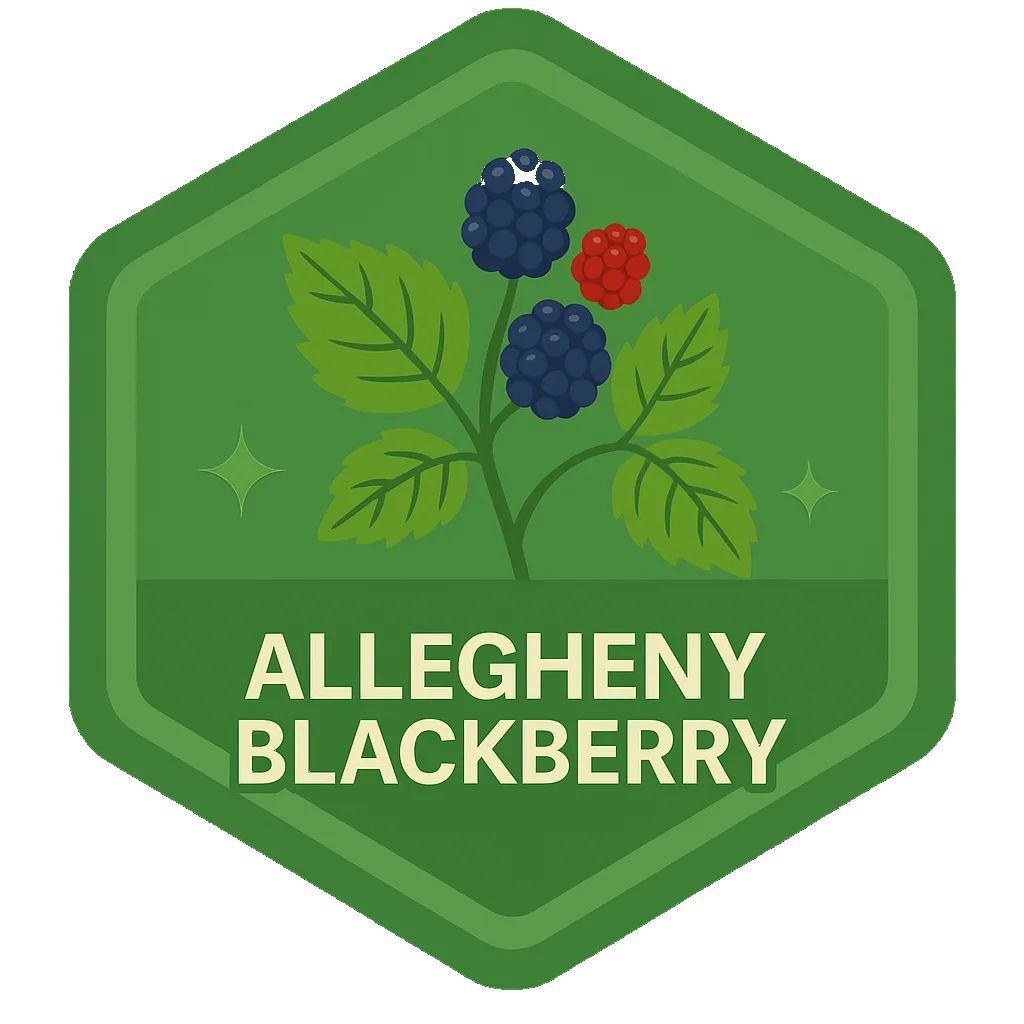 Allegheny Blackberry community badge artwork.