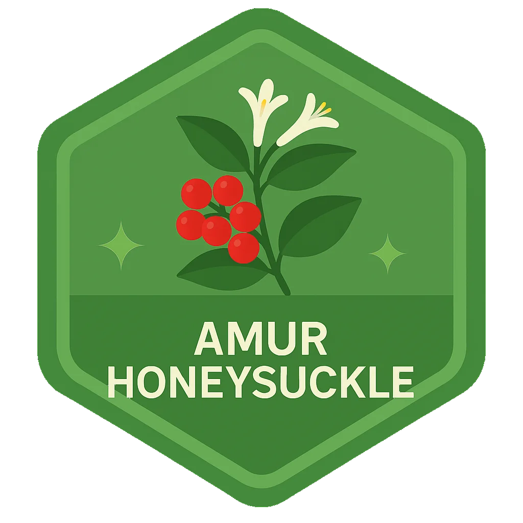 Amur Honeysuckle badge art.