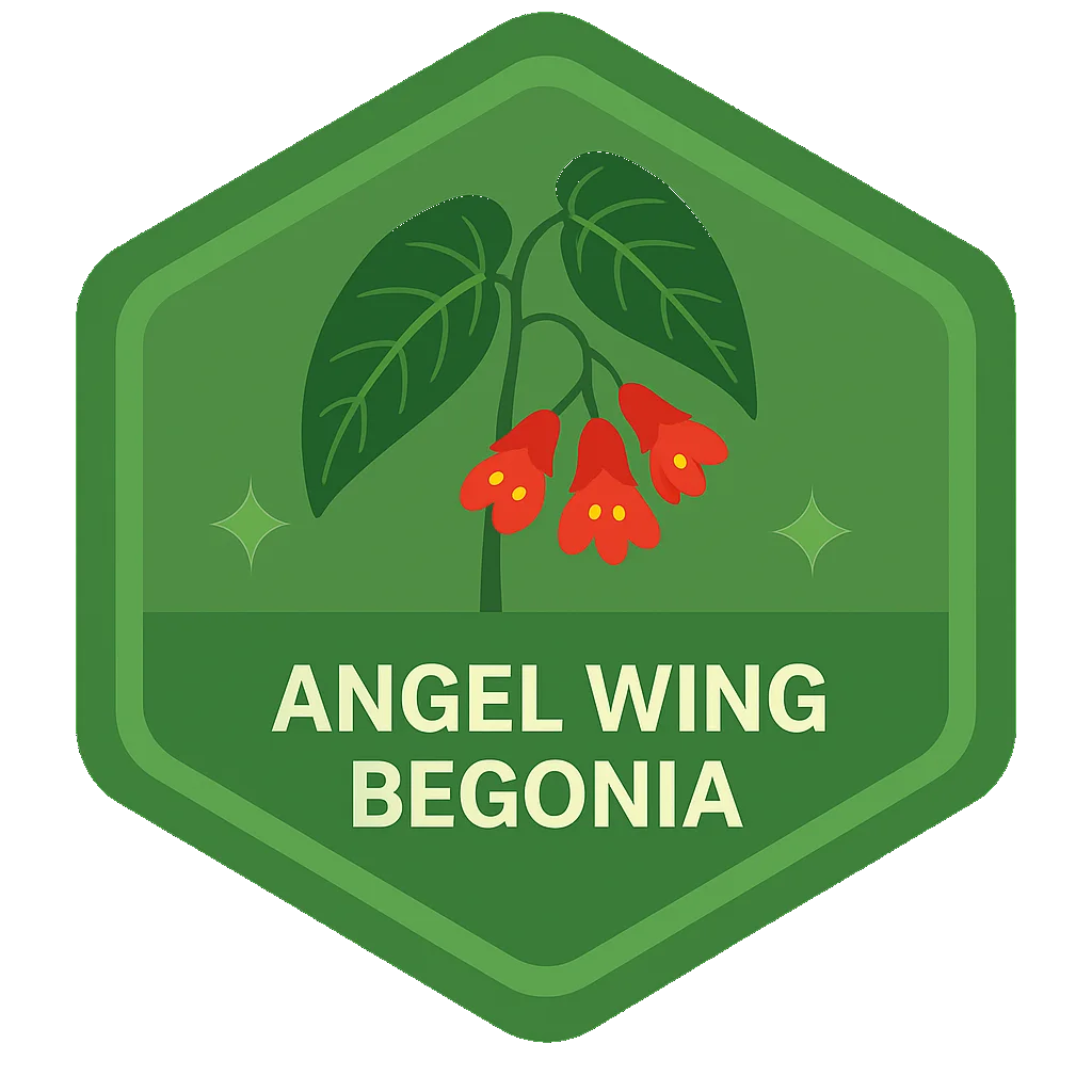 Community badge for Angel Wing Begonia.