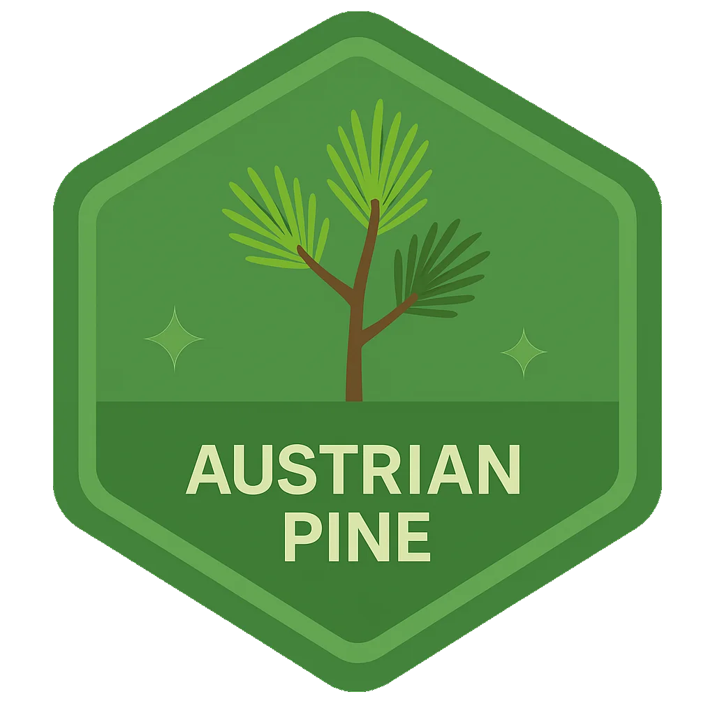 Austrian Pine badge art from the app.