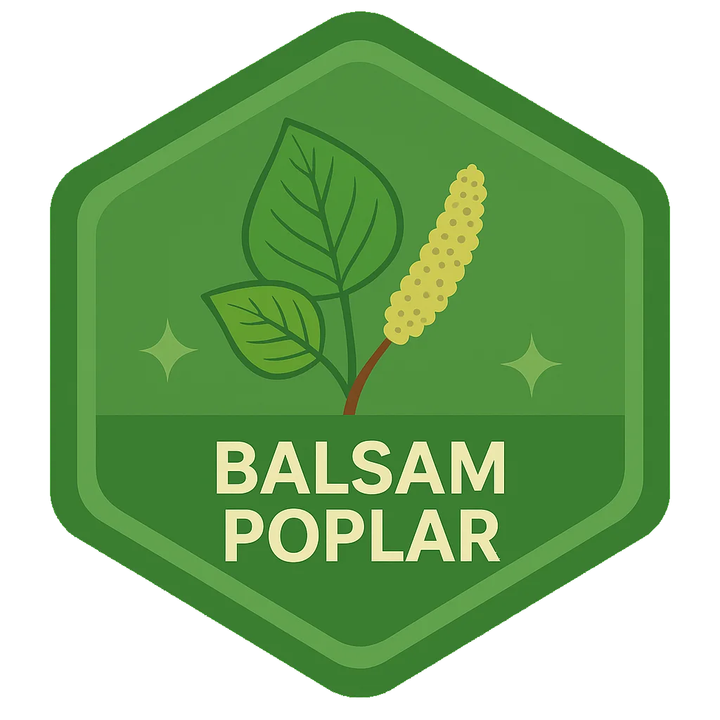 Balsam Poplar Leafari discovery badge.