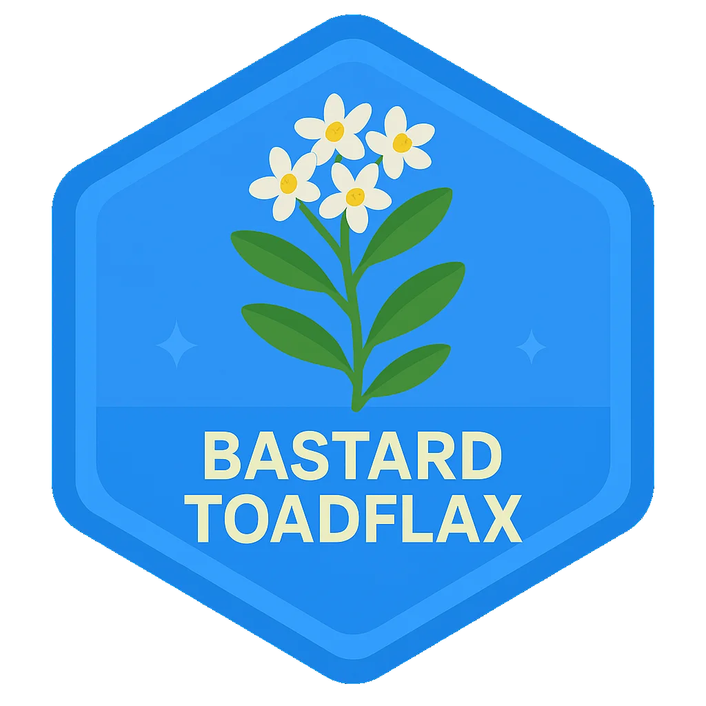Bastard Toadflax badge artwork.