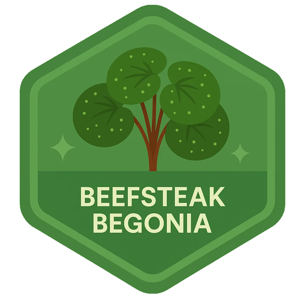 Beefsteak Begonia badge art from the app.