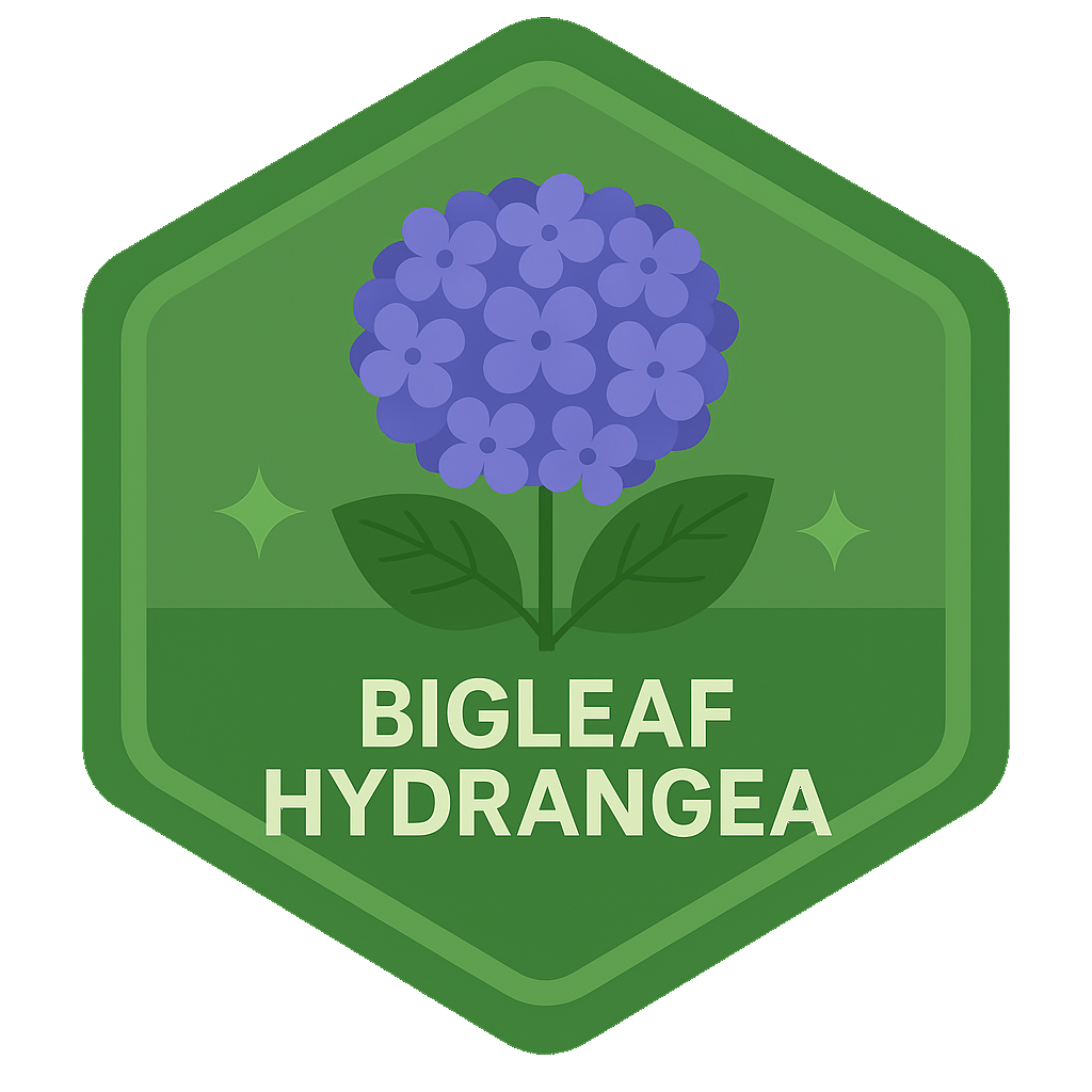 Bigleaf Hydrangea badge.