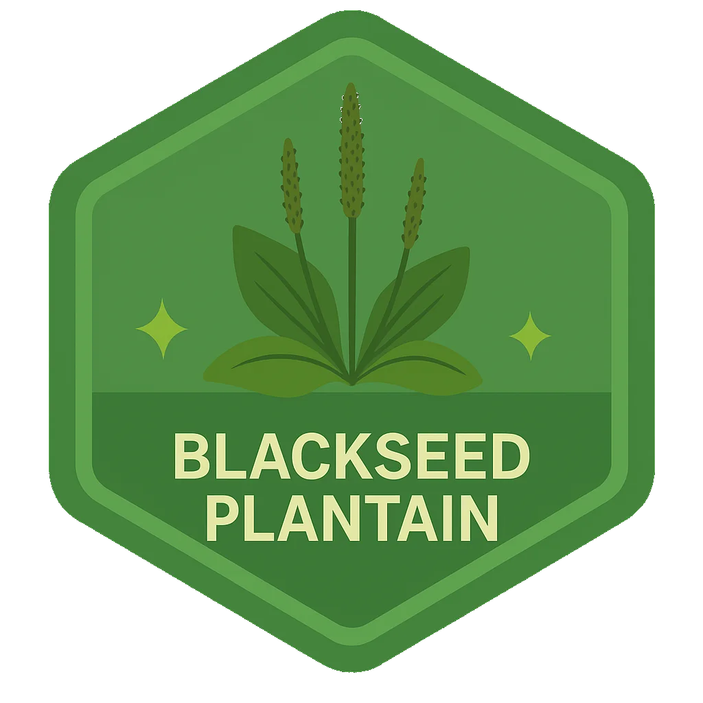Blackseed Plantain community badge artwork.