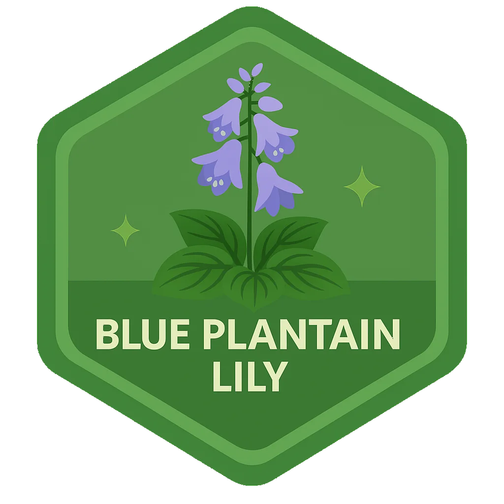 Blue Plantain Lily community badge artwork.