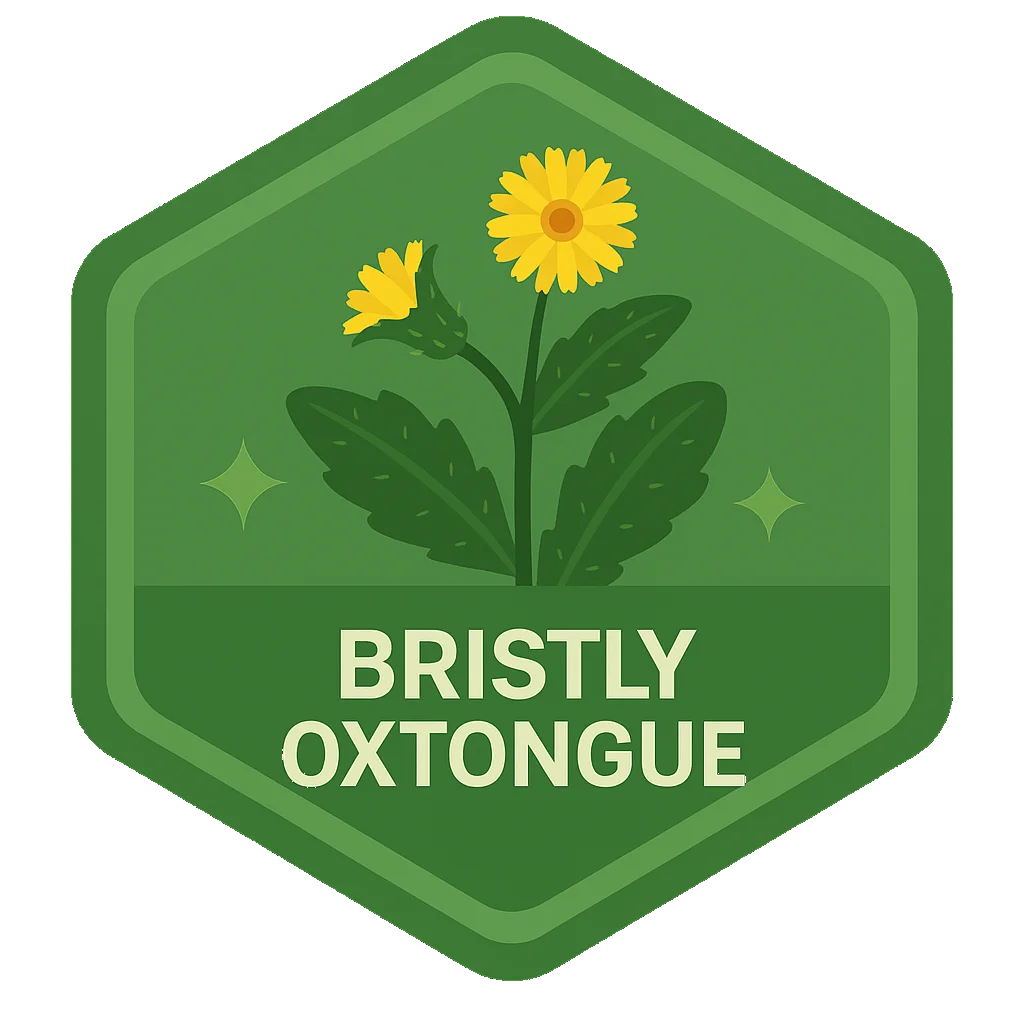 Bristly Oxtongue badge art from the app.