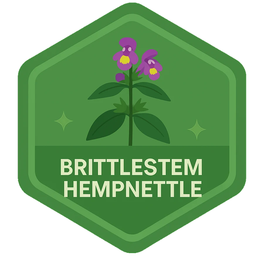 Leafari badge for Brittlestem Hempnettle.