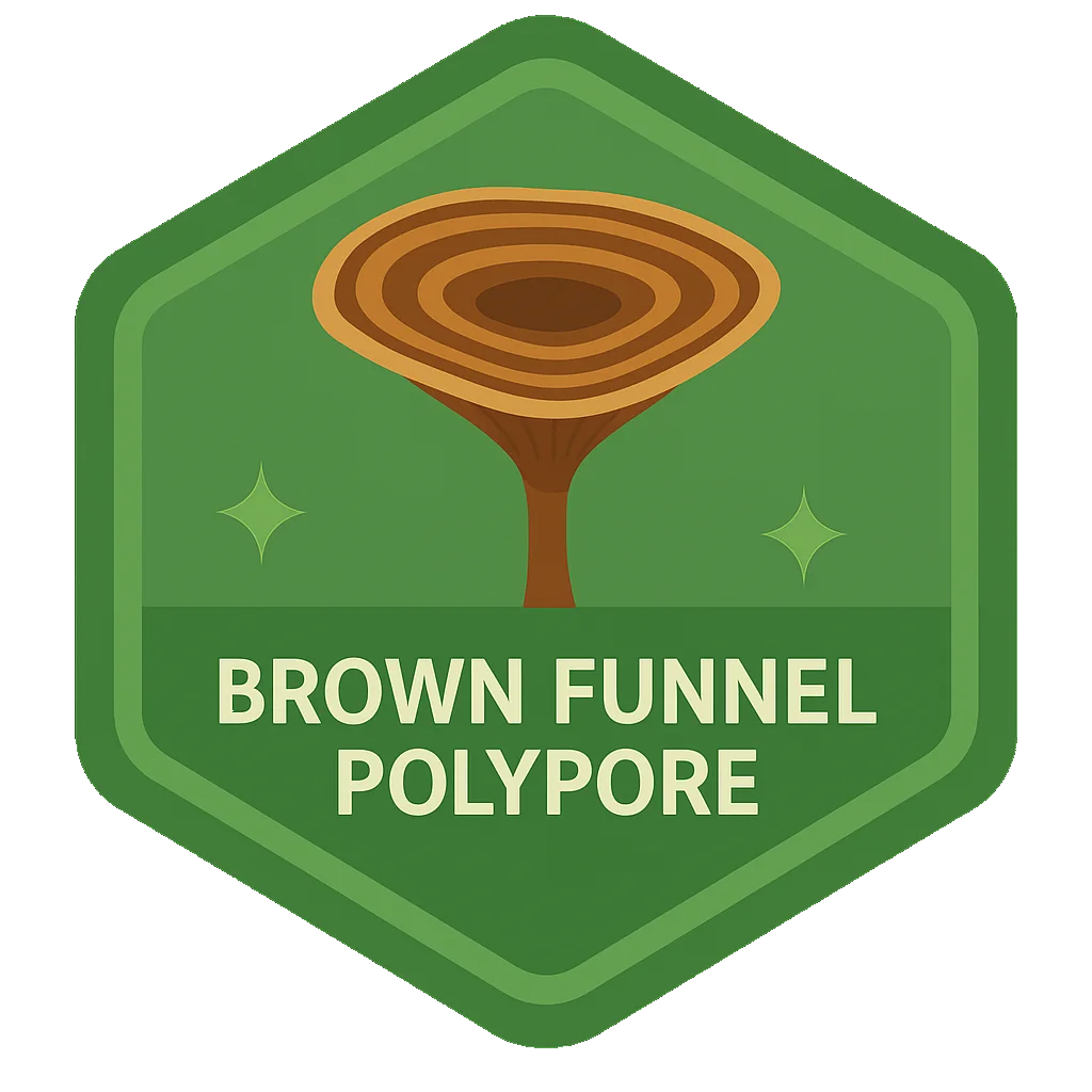 Leafari badge for Brown Funnel Polypore