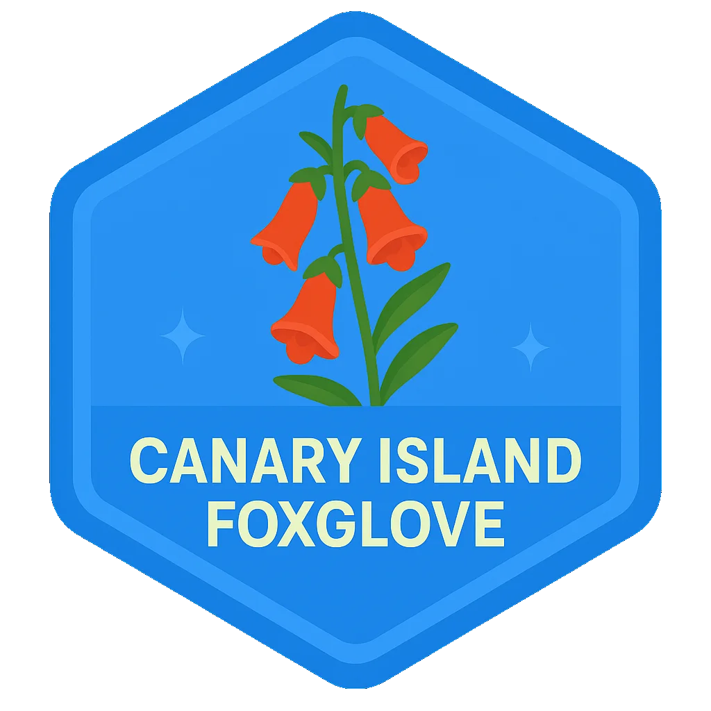 Canary Island Foxglove Leafari discovery badge.