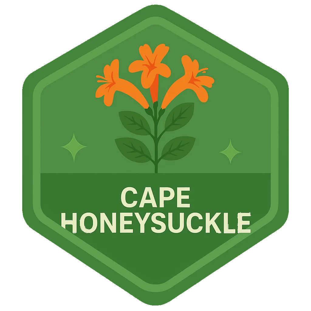 Cape Honeysuckle Leafari badge artwork.