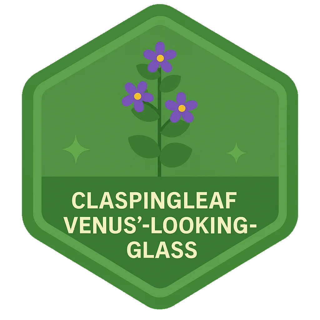 Claspingleaf Venus'-Looking-Glass community badge art.