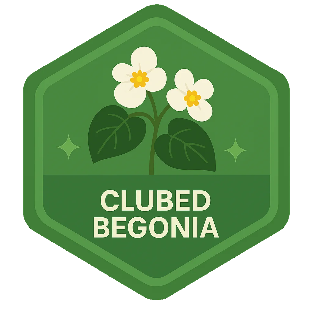 Clubed Begonia community badge artwork.