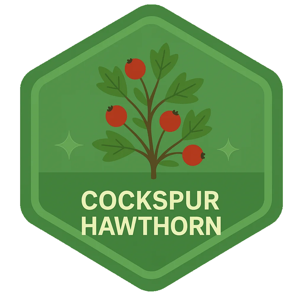 Cockspur Hawthorn Leafari badge.