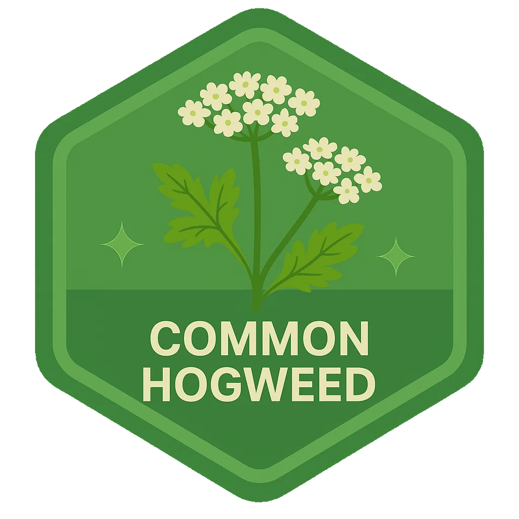 Common Hogweed badge art from the app.