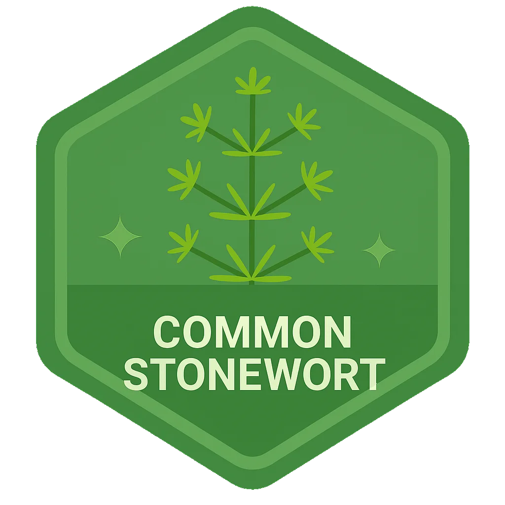 Common Stonewort badge artwork.