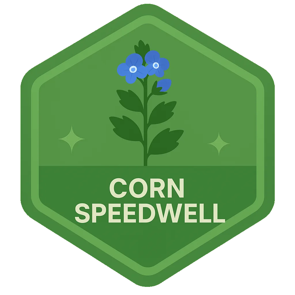 Corn Speedwell badge artwork.