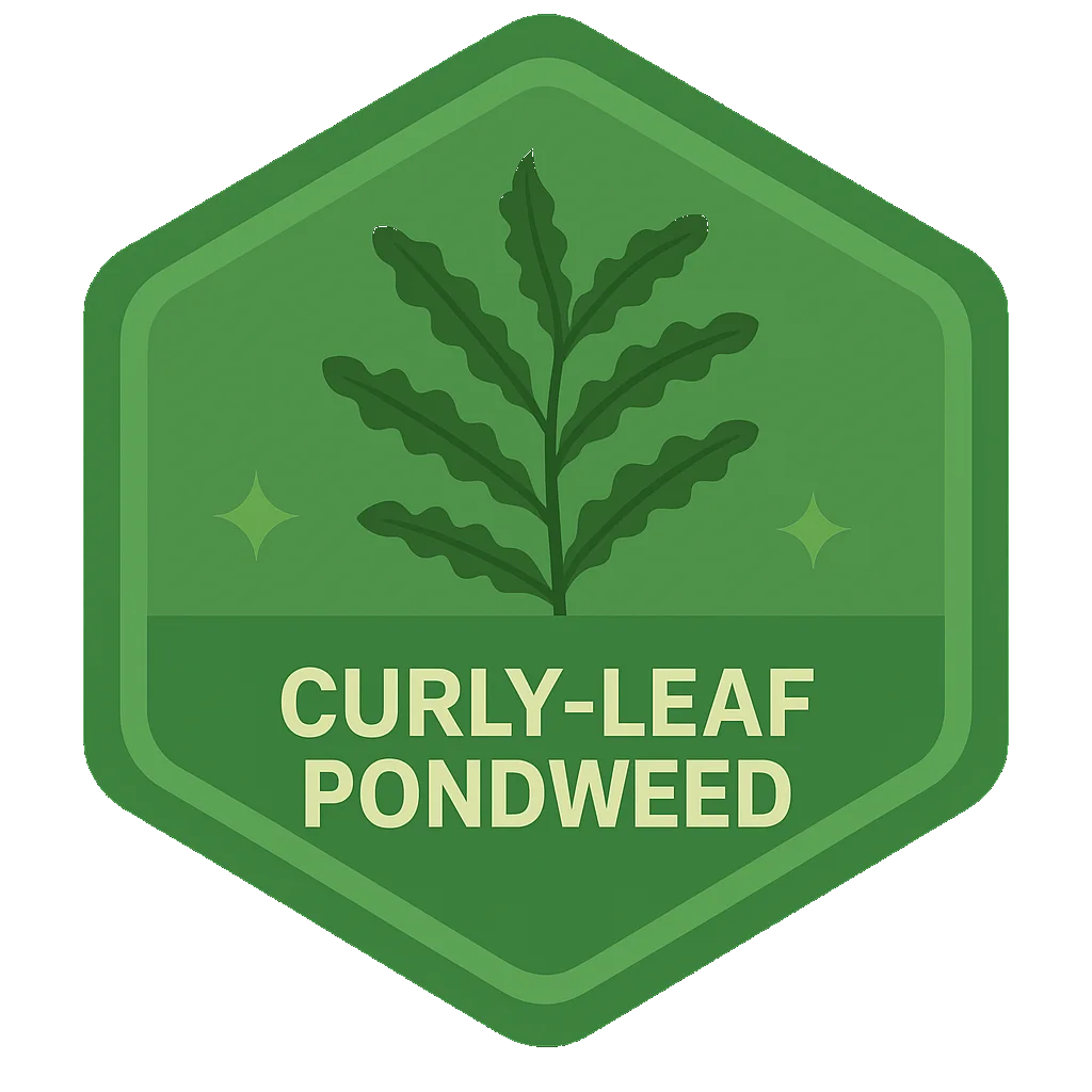 Curly-Leaf Pondweed badge artwork.
