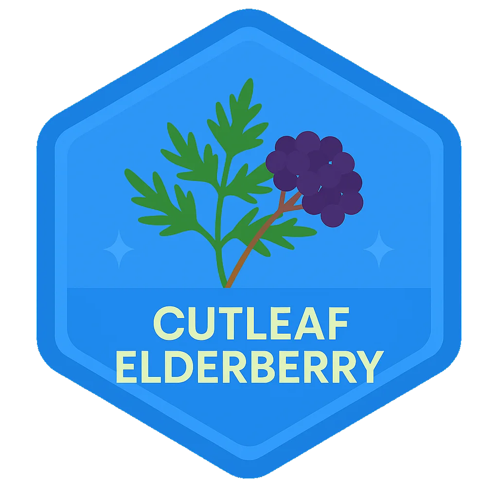 Cutleaf Elderberry community badge art from the app record.