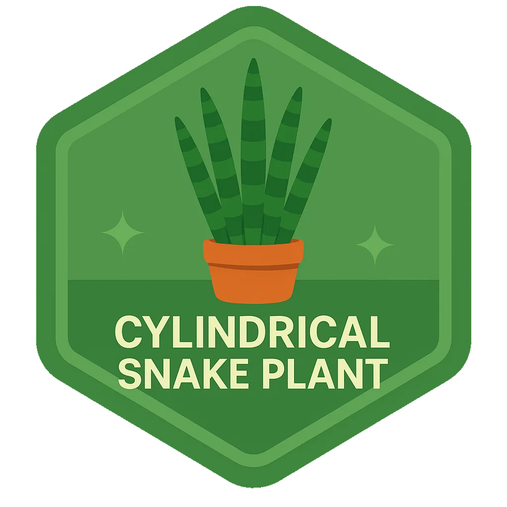 Cylindrical Snake Plant community badge artwork.