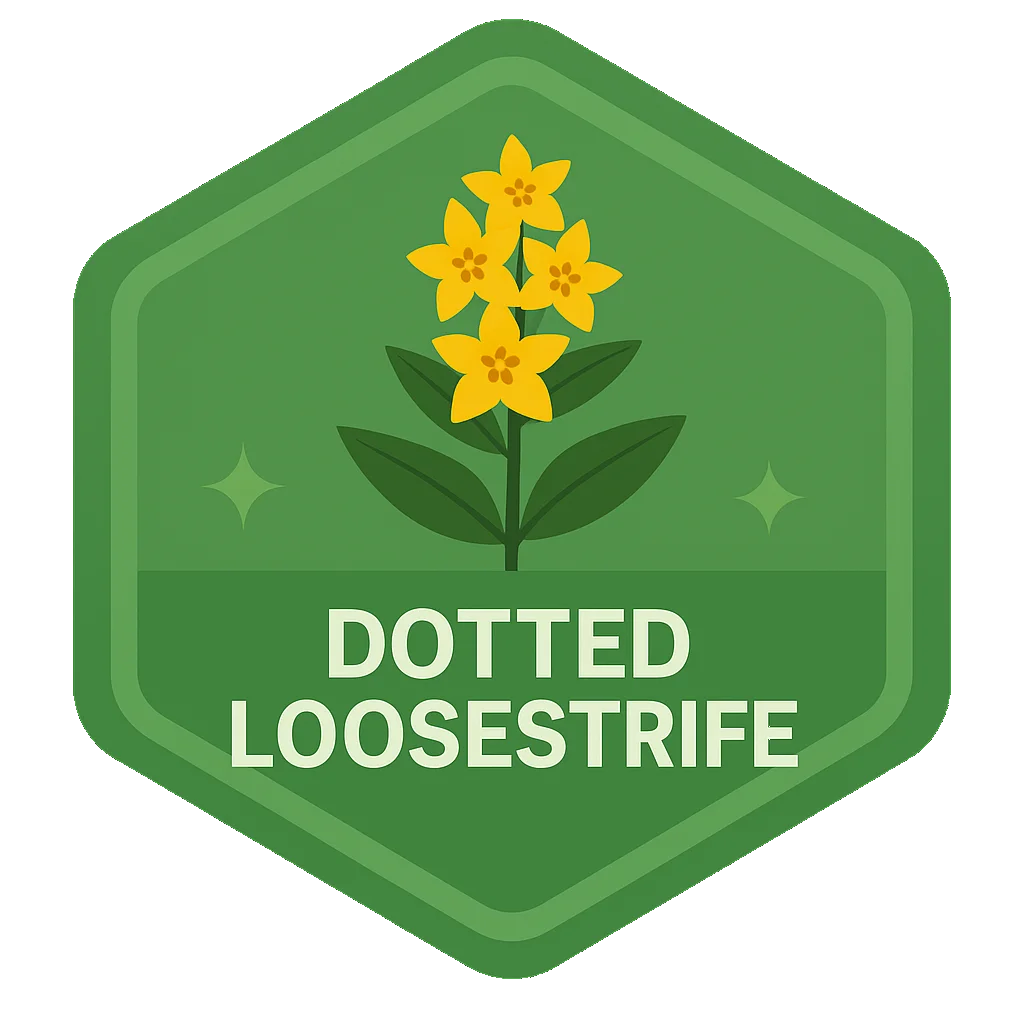 Dotted Loosestrife community badge artwork.