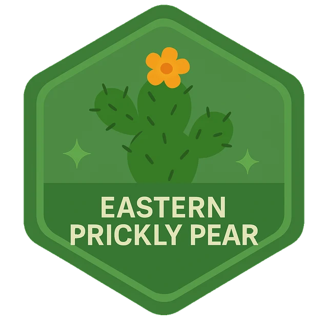 Eastern Prickly Pear Leafari discovery badge.