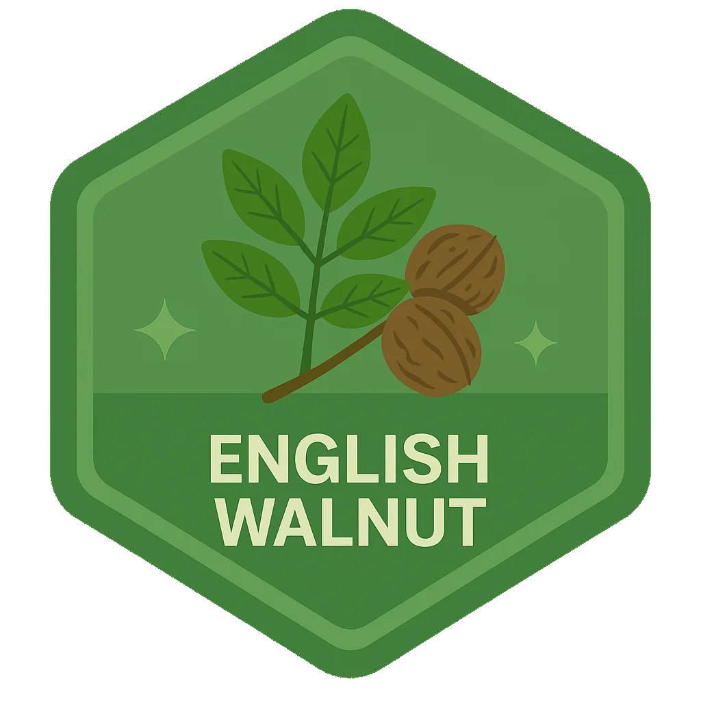 English Walnut Leafari badge.