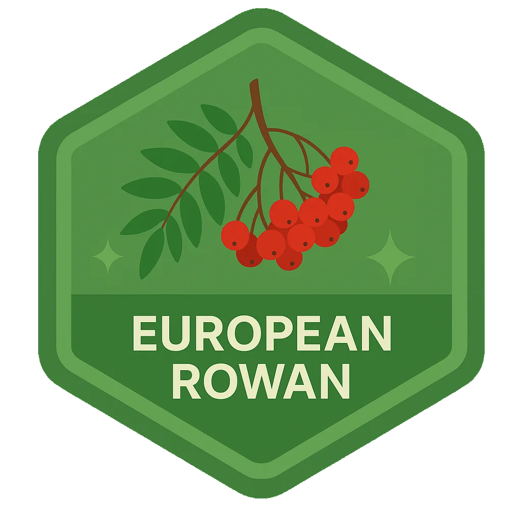 European Rowan Leafari badge artwork.