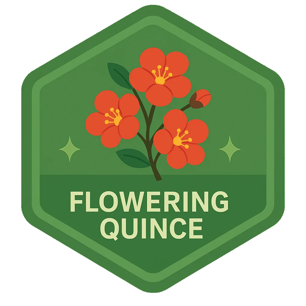 Flowering Quince badge.