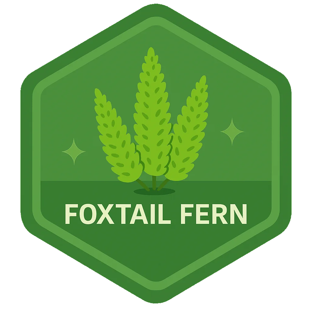 Foxtail Fern badge artwork.