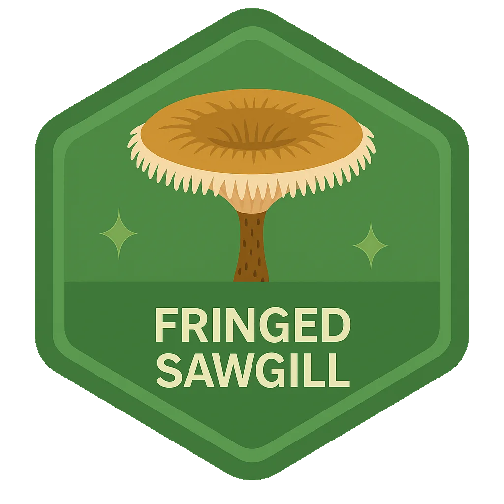 Leafari badge for Fringed Sawgill
