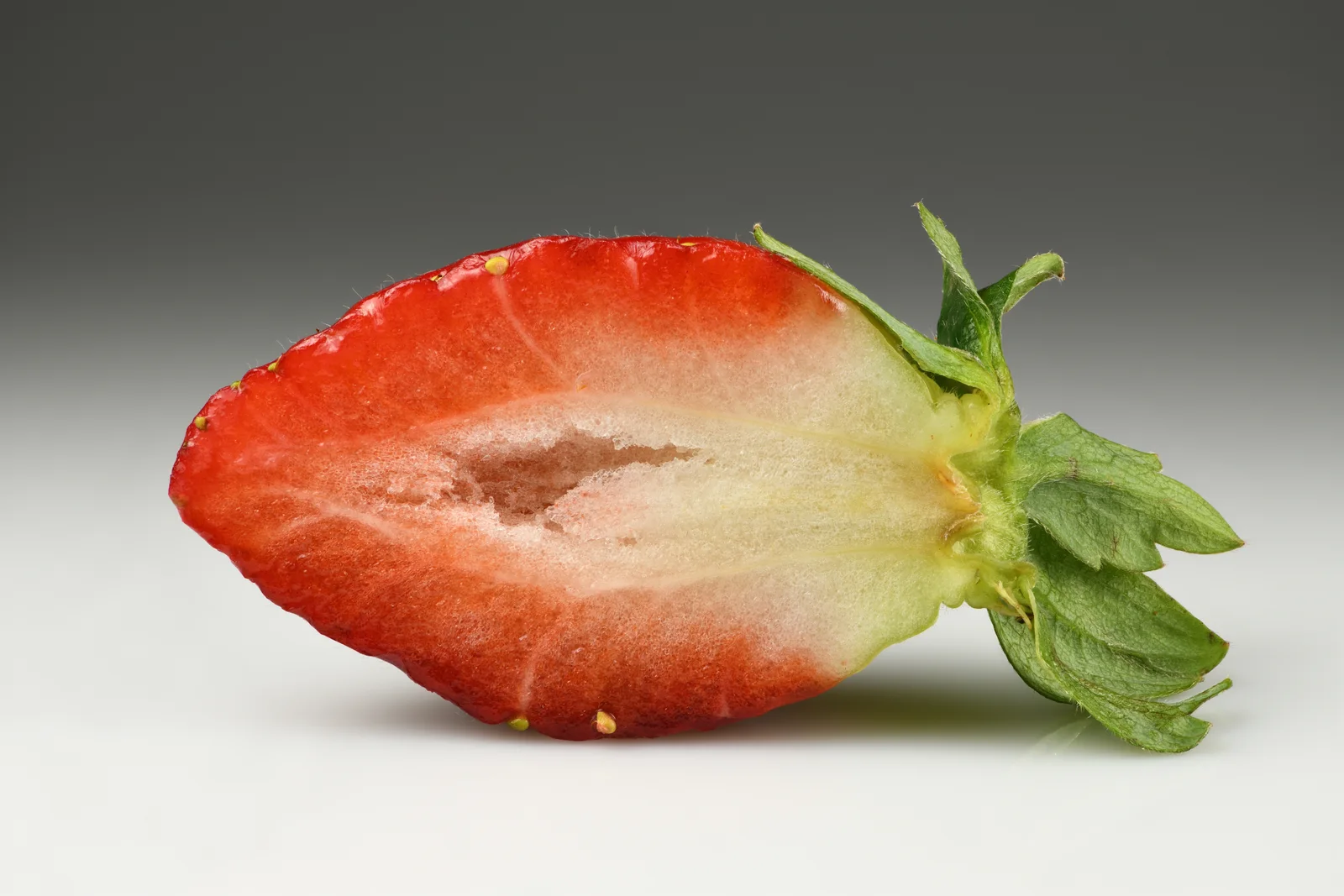 Garden Strawberry showing three leaflets.