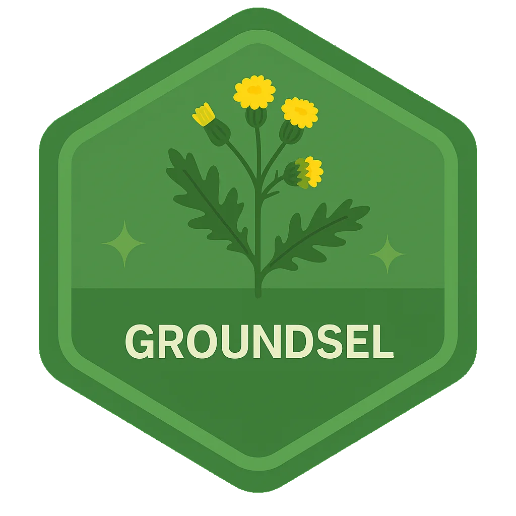 Groundsel community badge artwork.