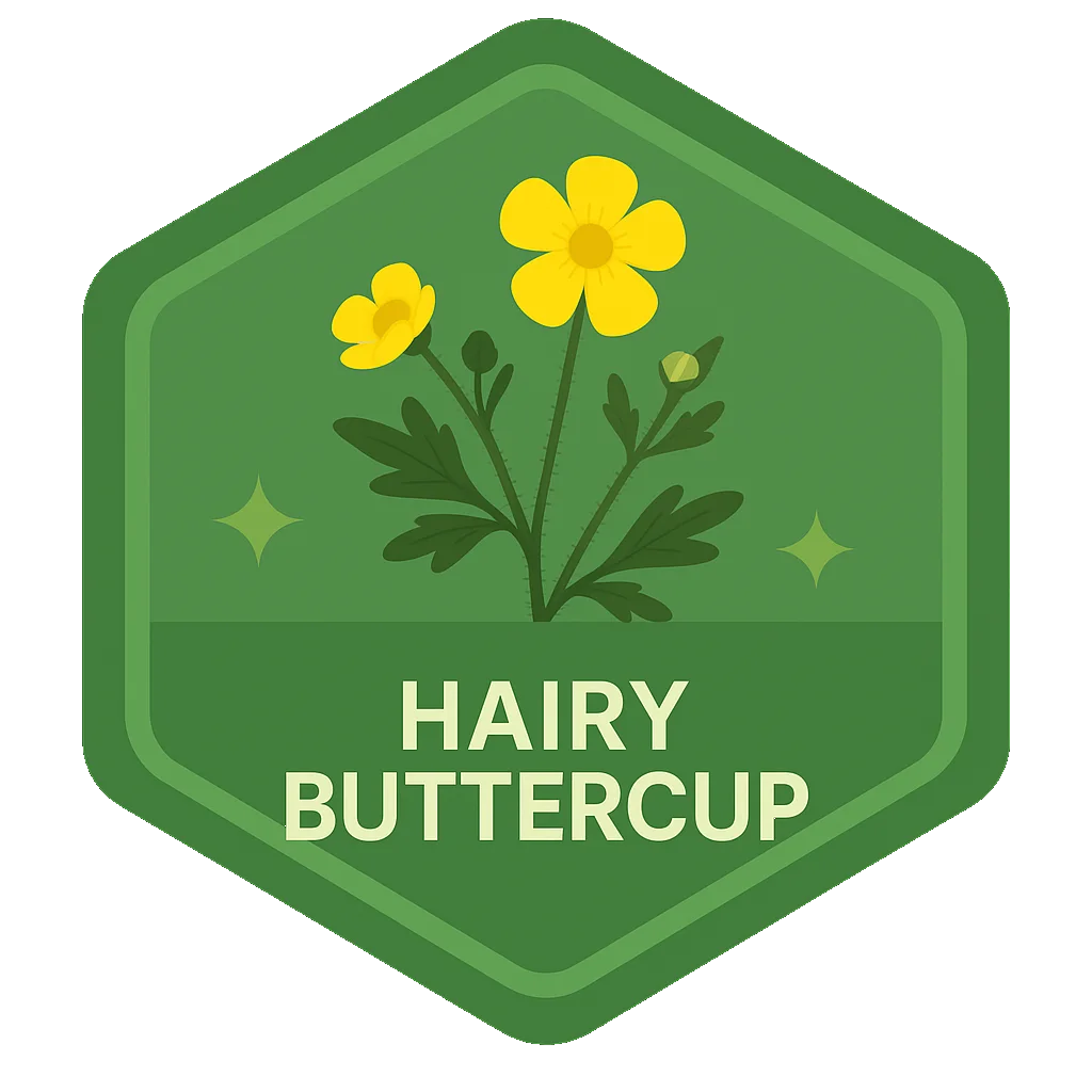 Hairy Buttercup community badge art.