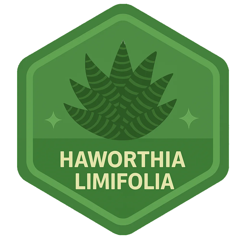 Haworthia Limifolia Leafari discovery badge.