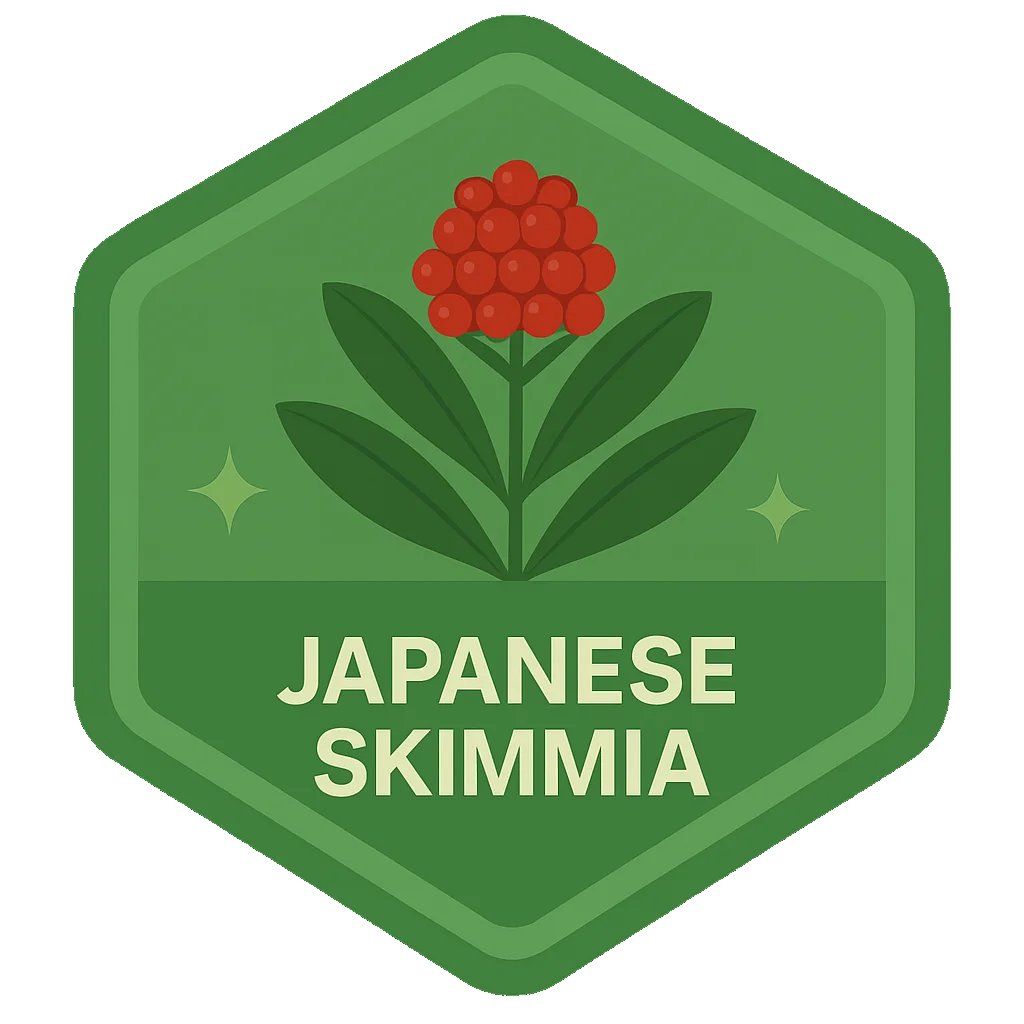 Japanese Skimmia Leafari discovery badge.
