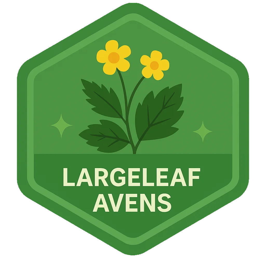 Largeleaf Avens badge artwork.
