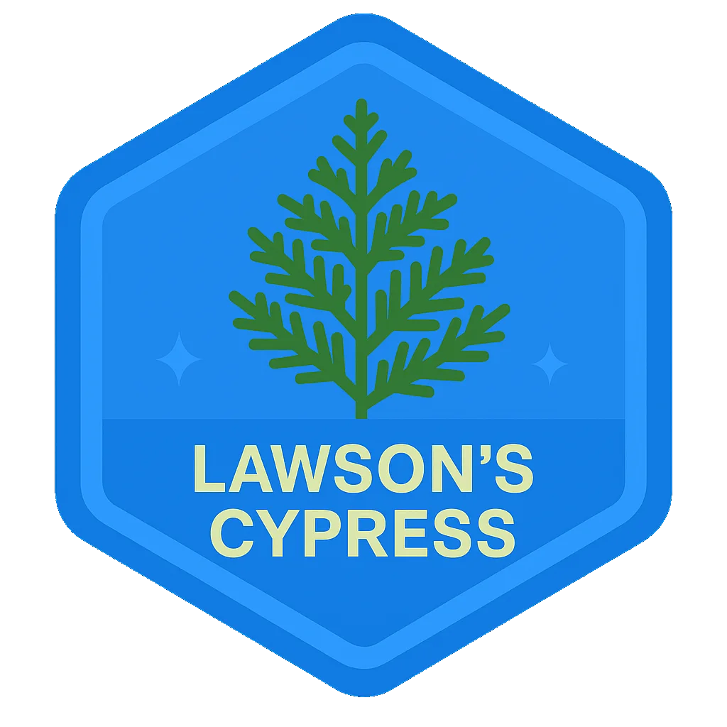 Lawson's Cypress community badge artwork.