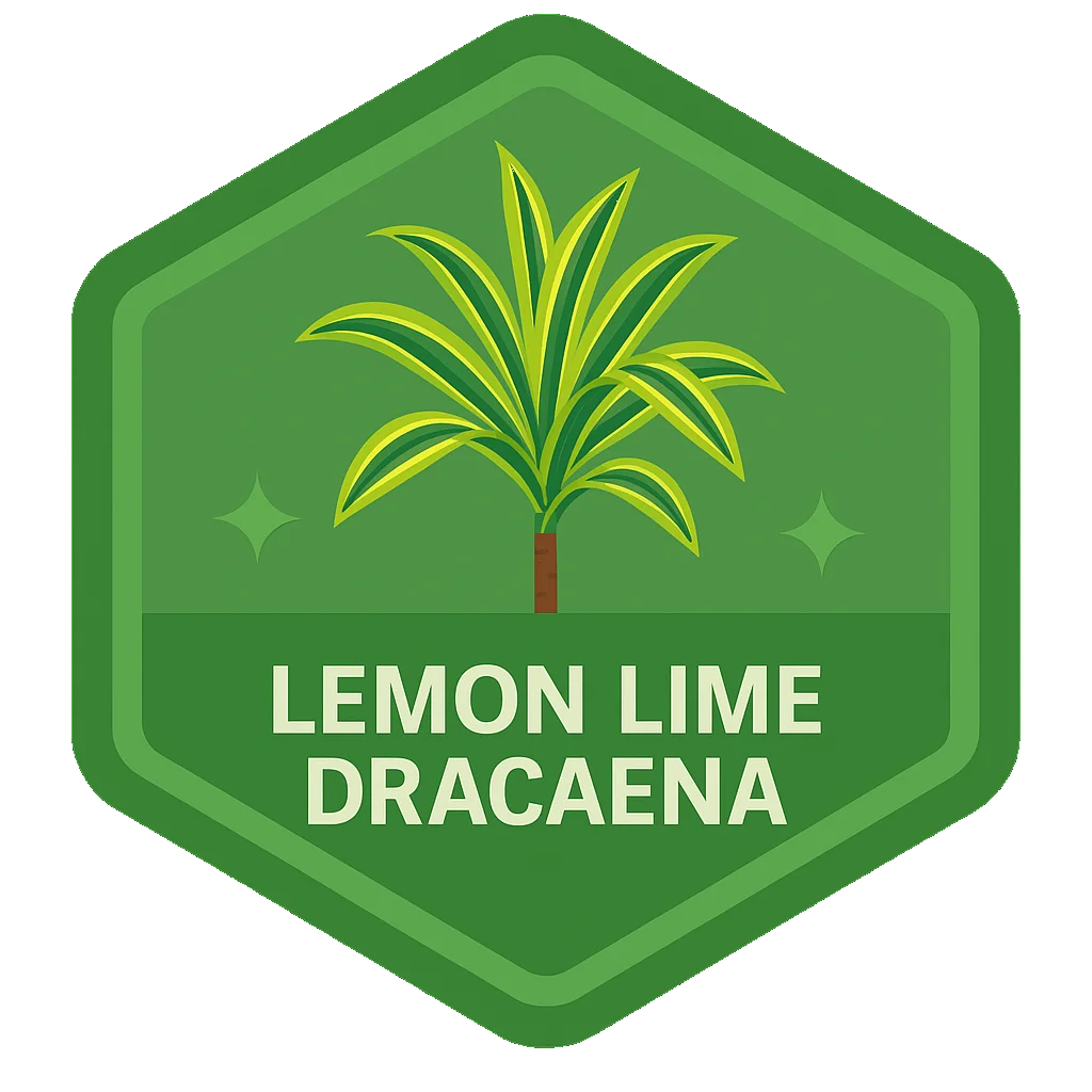 Lemon Lime Dracaena community badge art from the app record.