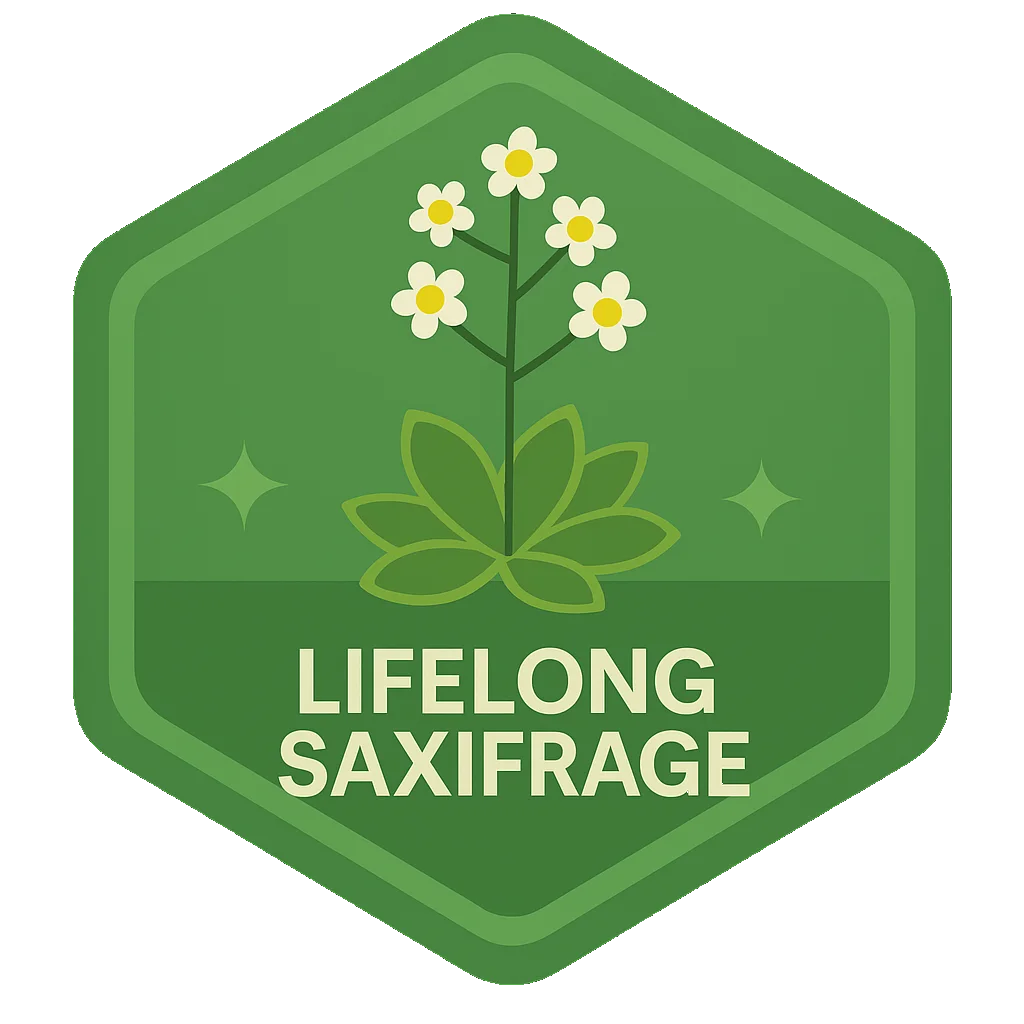Lifelong Saxifrage badge.