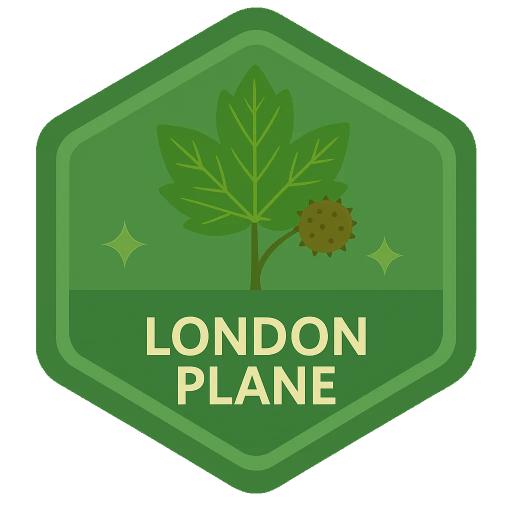 London Plane community badge artwork.