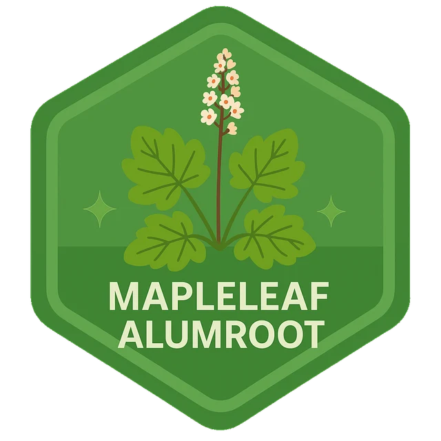 Mapleleaf Alumroot Leafari discovery badge.