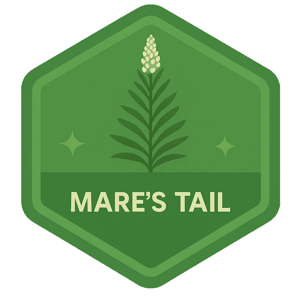 Mare's Tail community badge artwork.
