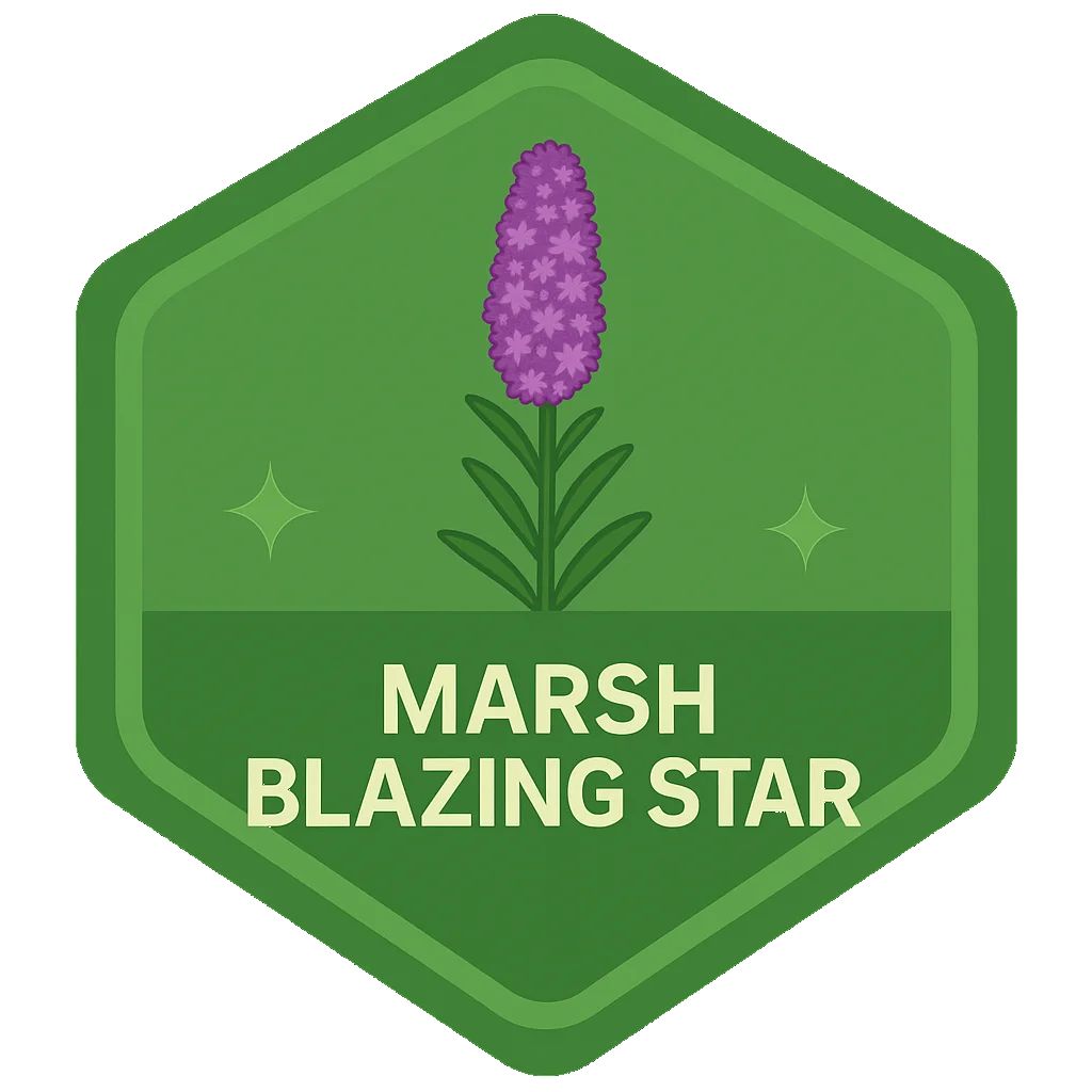 Marsh Blazing Star community badge artwork.
